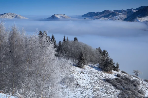 Boven de wolken in Bergen — Stockfoto