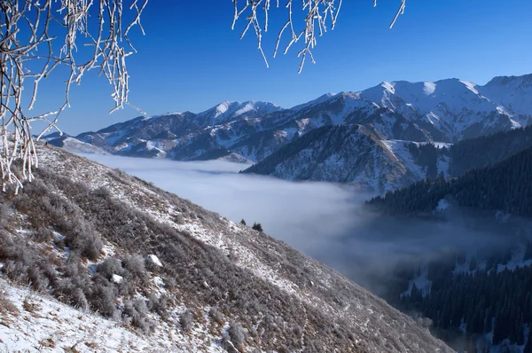 山で雲の上 — ストック写真