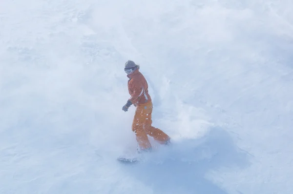 Snowboard girl v sněhové bouři — Stock fotografie