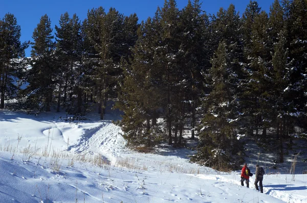 Dwóch man snowshoer wspinaczki w górach zimą — Zdjęcie stockowe