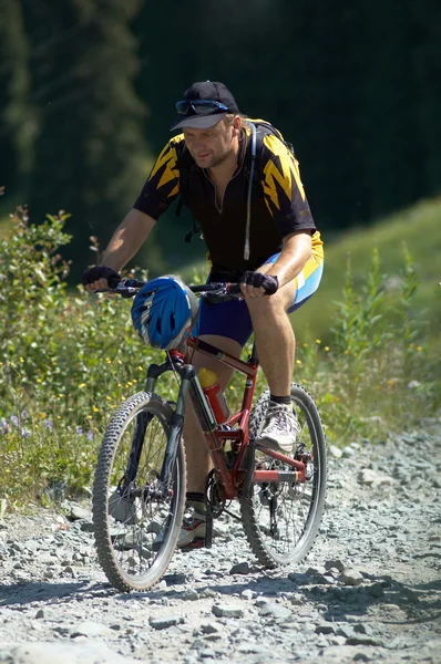 山地道路上的自行车手 — 图库照片