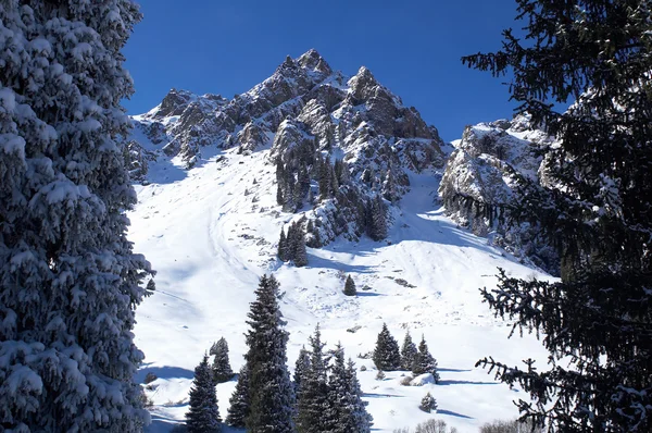 Winter bergtop — Stockfoto