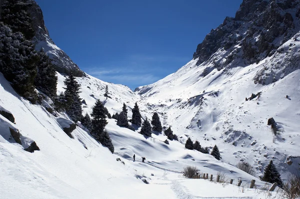 Przełęcz Grand — Zdjęcie stockowe