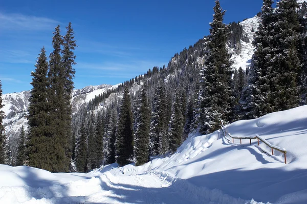 W górach zimą — Zdjęcie stockowe