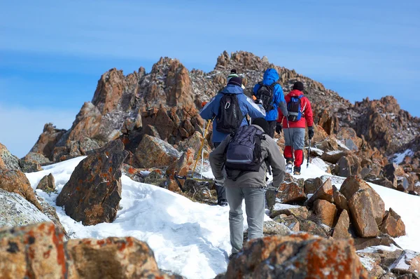 Grupo de trekking de alta montaña — Foto de Stock