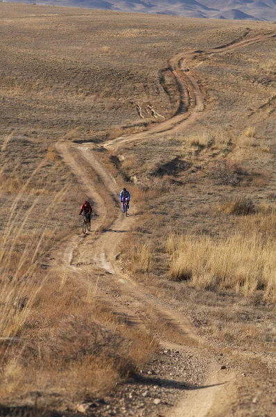 在 country(desert) 路骑自行车的人 — 图库照片
