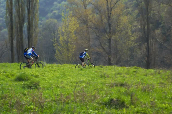 Fast motion bikers in spring forest — Stock Photo, Image