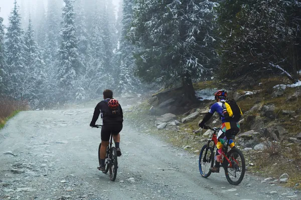 Dos ciclistas de montaña en la niebla en la montaña — Foto de Stock