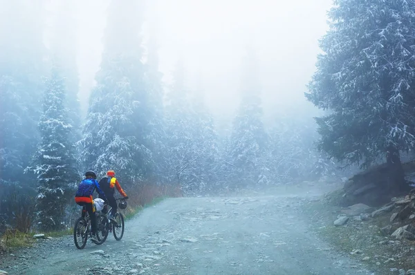 Ποδηλασίας βουνού σε ομίχλη στο βουνό — Φωτογραφία Αρχείου