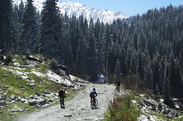 Trzech rowerzystów w górach wiosna — Zdjęcie stockowe