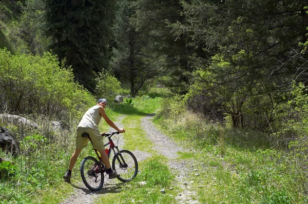 Mountain bikers on old rural road — Stock Photo, Image