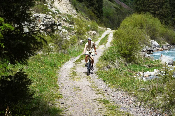 Mountain bikers on old rural road — Stock Photo, Image