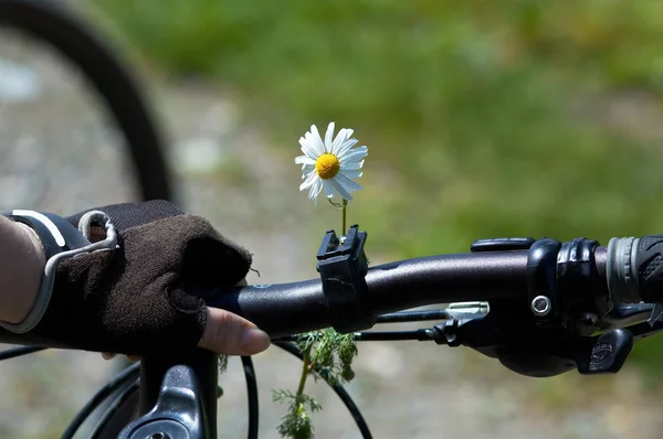 stock image Flower on woman bike