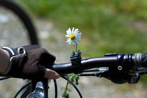 Flower on woman bike