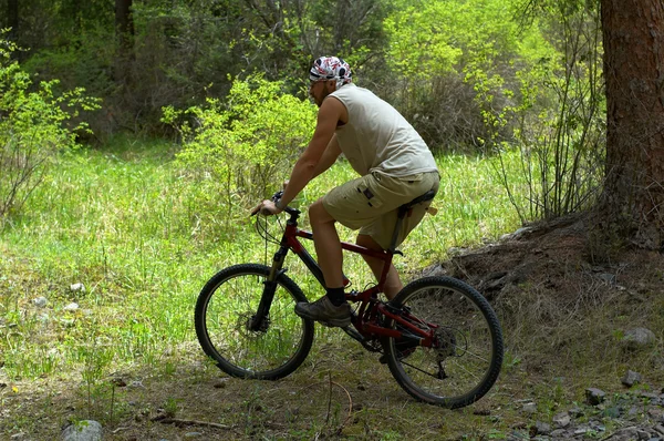 Горный велосипедист в весеннем лесу — стоковое фото