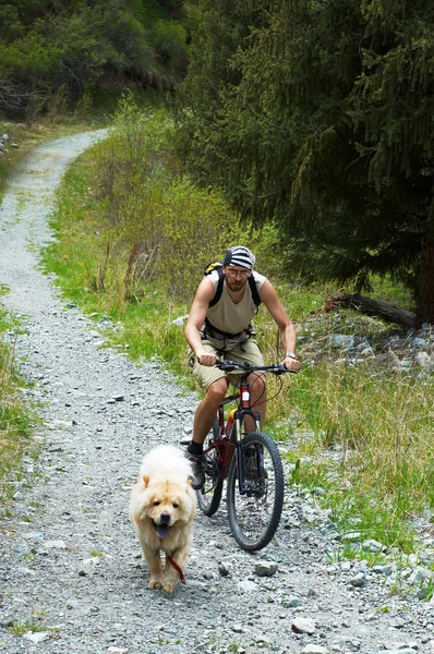Mountainbiker en hond op oude landelijke weg — Stockfoto