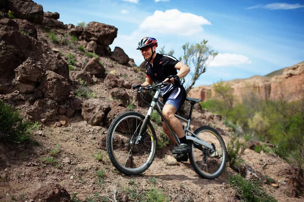 Mountainbiker in wilder Wüste — Stockfoto