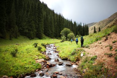 Group of backpackers in mountains clipart