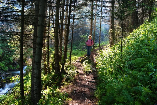 Woman on trail in woods — Stock Photo, Image