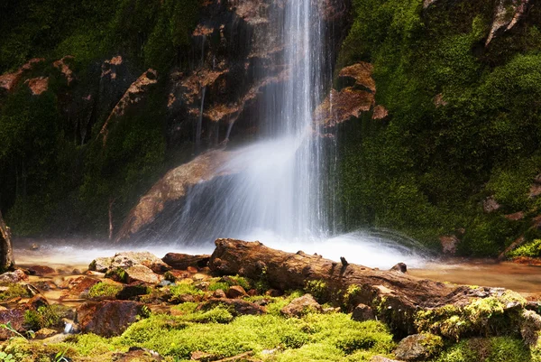 stock image Picturesque little waterfall