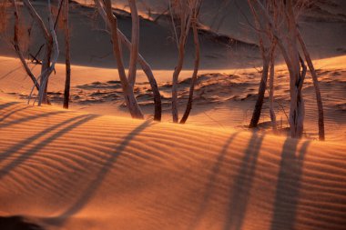 Sunset in sand desert clipart