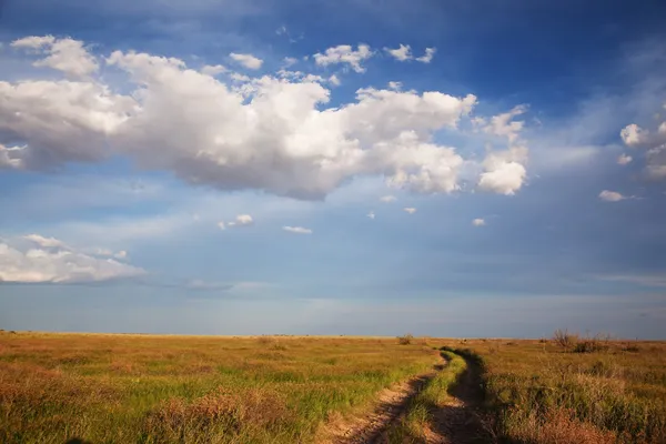 草原の乾いた道路 — ストック写真