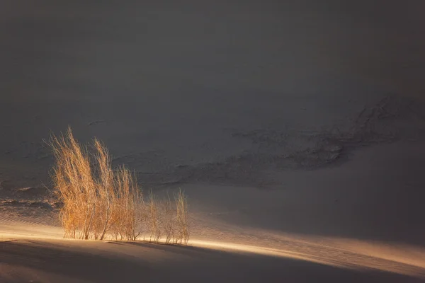Puesta de sol en desierto de arena — Foto de Stock