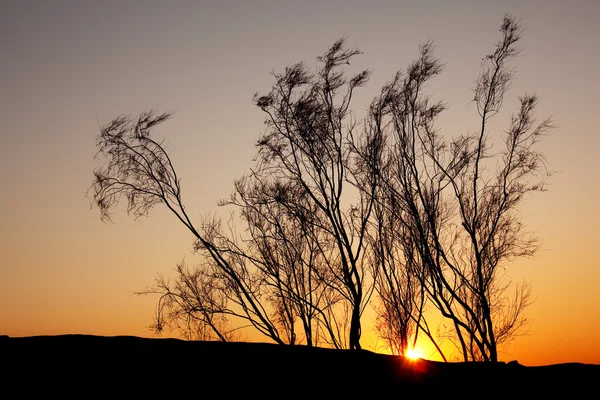 砂の砂漠の夕日 — ストック写真