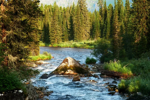 Morgon på berg flod — Stockfoto