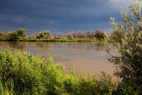 嵐の後川 — ストック写真
