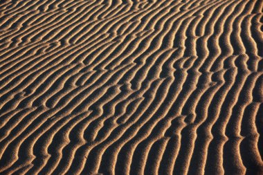 Çölde kum dalgaları