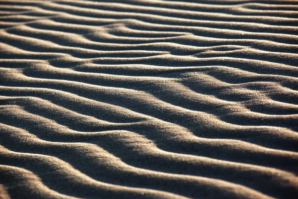 사막에서 모래 파도 — 스톡 사진