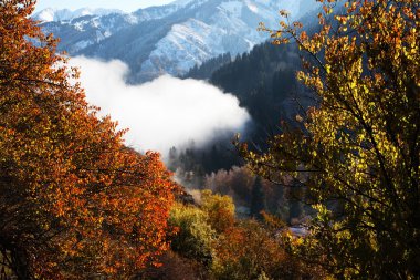 Autumn in mountains clipart