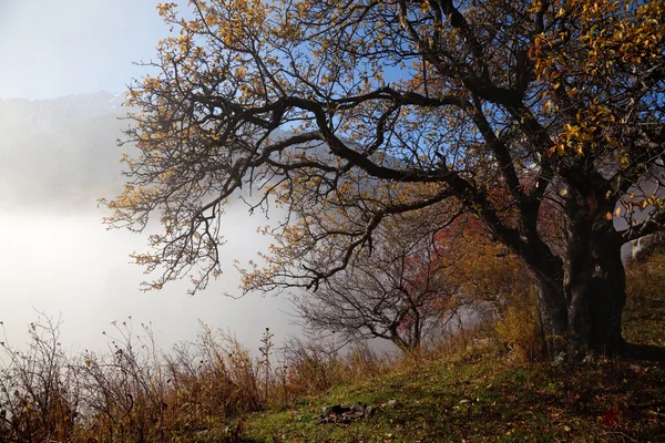 Outono nas montanhas — Fotografia de Stock