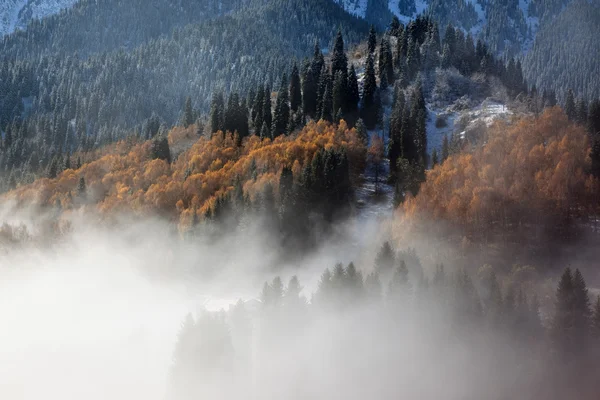 Sonbahar Dağları — Stok fotoğraf