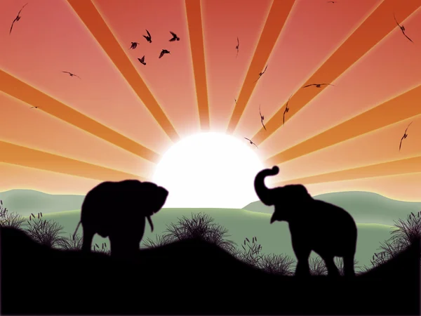 stock image Landscape with sun and elephants