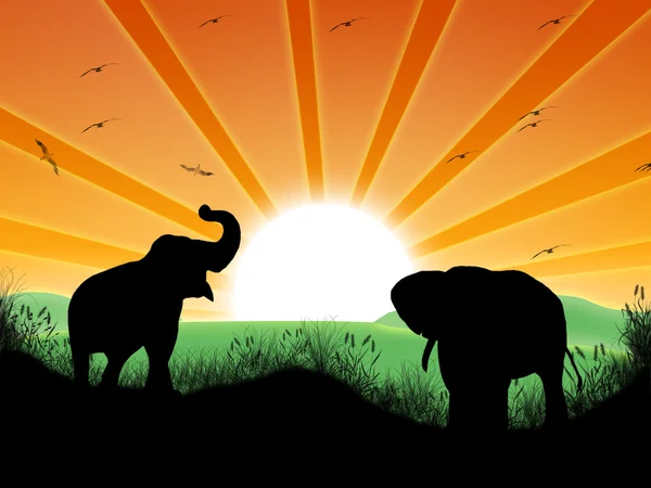 Landscape with sun and elephants — Stock Photo, Image