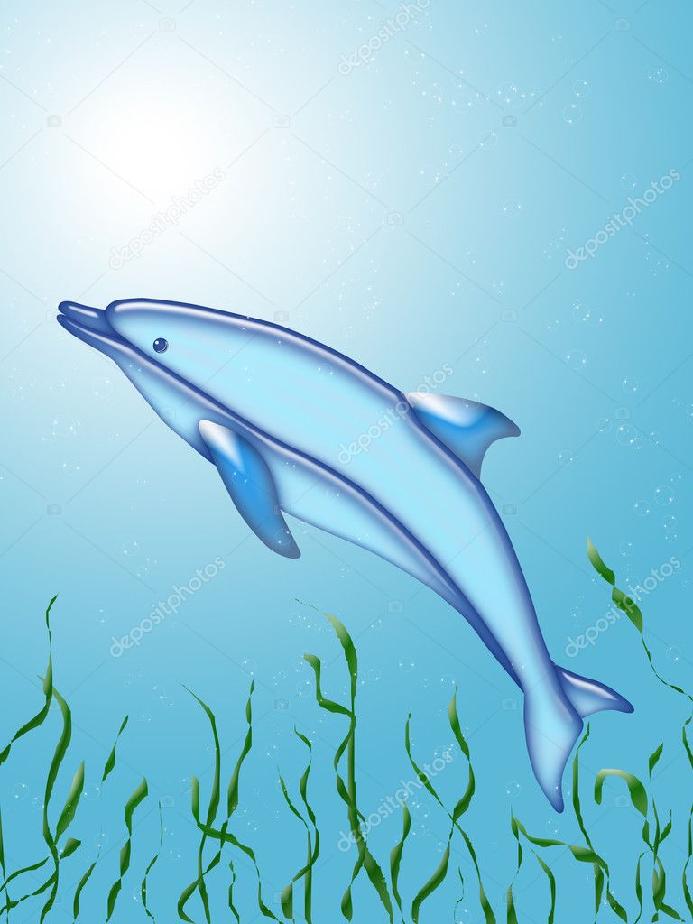 Dolphin swim under water with algae