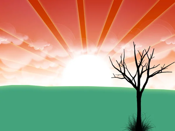 Landskap med sol och moln och träd — Stockfoto