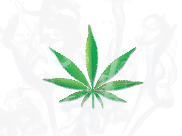 Fumo de cannabis folha no fundo branco — Fotografia de Stock
