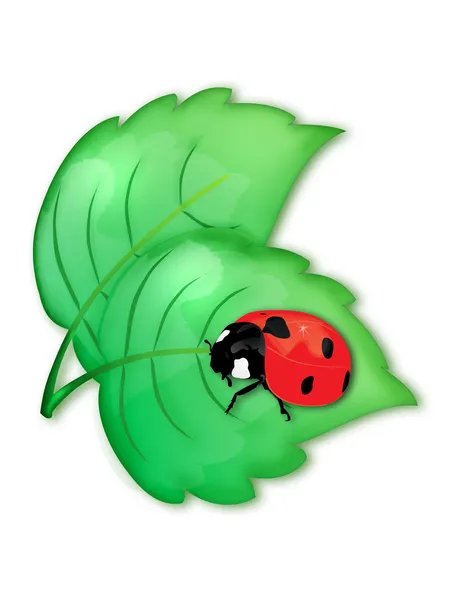 Yeşil yapraklı uğur böceği — Stok fotoğraf