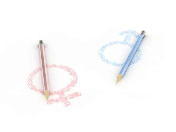 Signs painted on paper female and male with pencils — Stock Photo, Image
