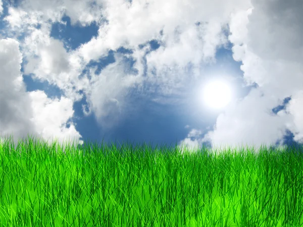 Äng med gräs och blå himmel och moln — Stockfoto