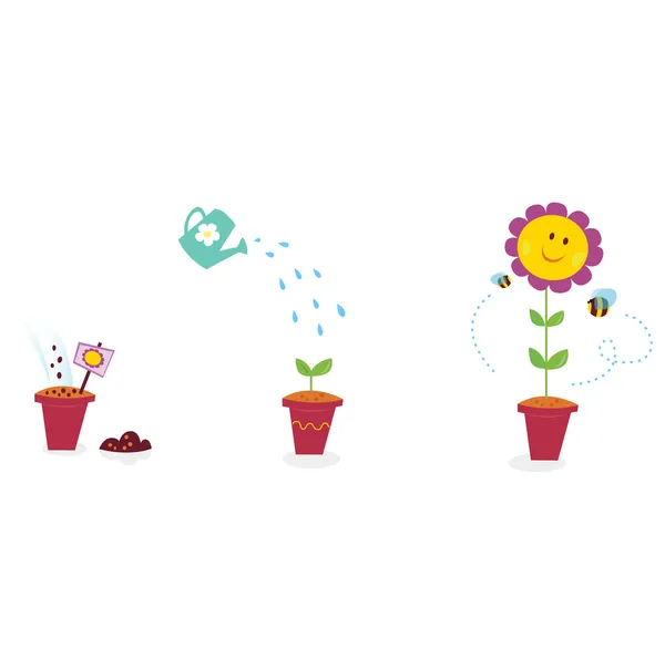 Bahçe çiçek büyüme aşamalarında - Ayçiçek — Stok Vektör