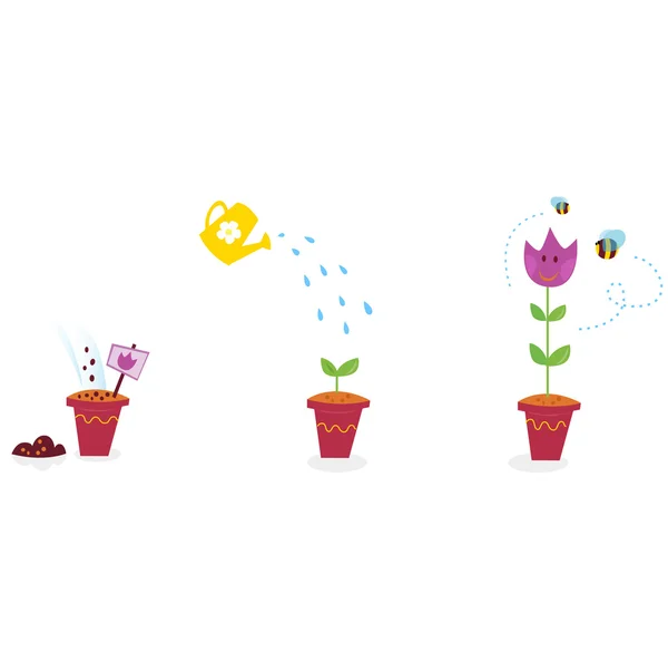 Bahçe çiçek büyüme aşamalarında - Lale — Stok Vektör