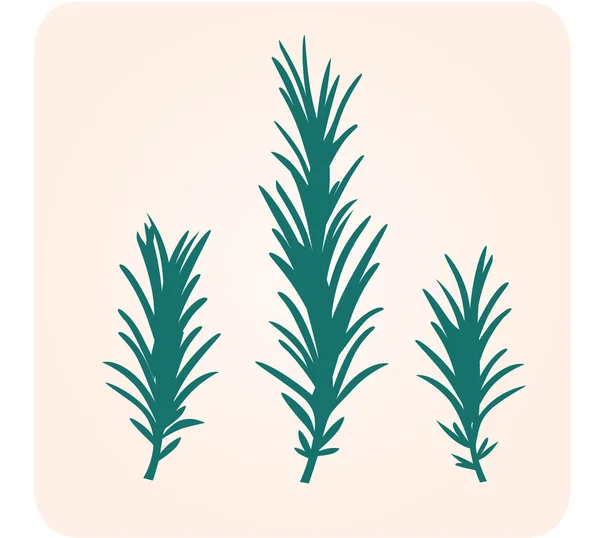 Silhouette d'herbe de romarin — Image vectorielle