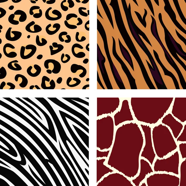 老虎、 斑马、 长颈鹿、 豹子图案 — 图库矢量图片#