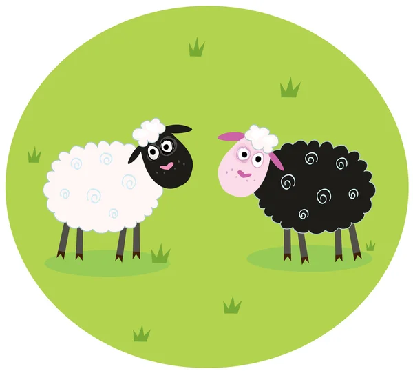 Black and white sheep — Stock Vector