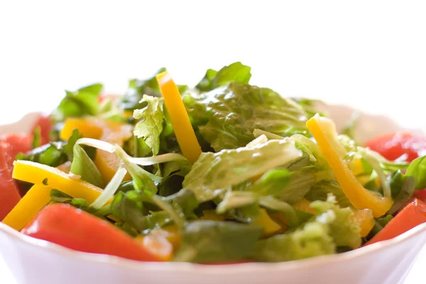 Bowl with salad macro — Stock Photo, Image