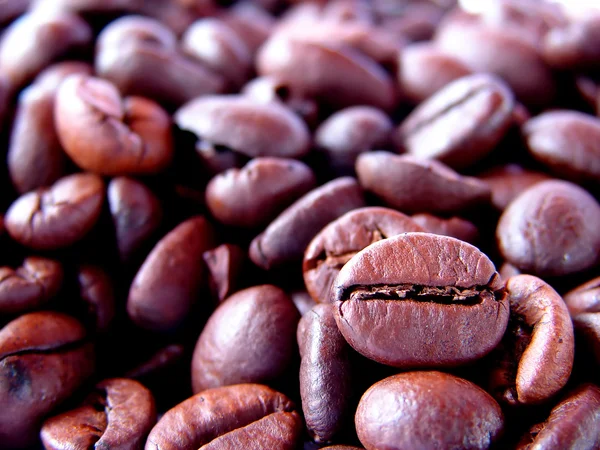 stock image Coffee beans macro